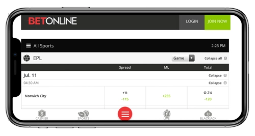 BetOnline Sports Betting App