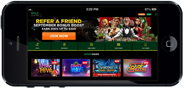 Wild Casino Main Page Site - Horizontal Mobile