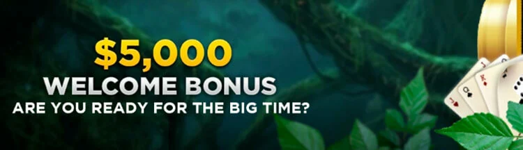 5000 Welcome Bonus Wild Casino