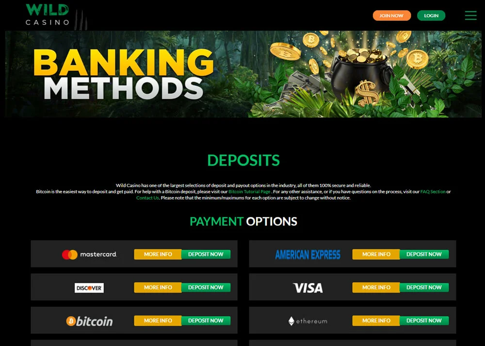 Wild Casino Banking Page Screenshot