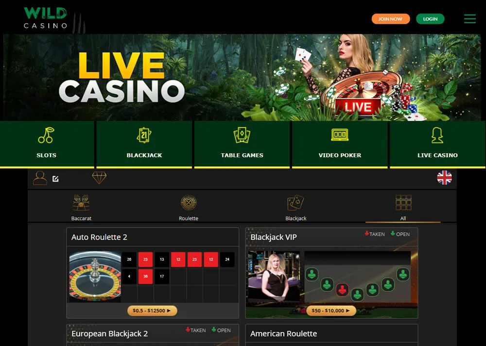 Wild Casino Live Casino Hub Screenshot