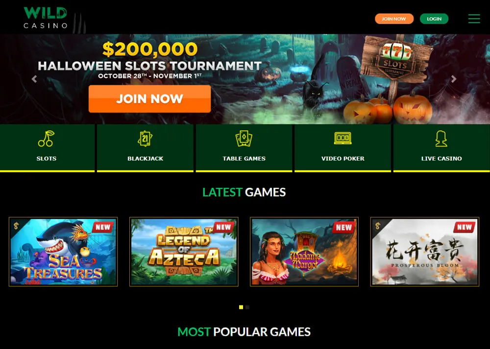 Wild Casino Main Page Screenshot