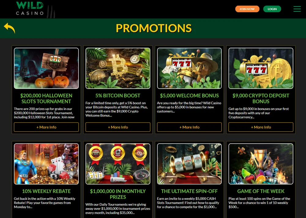 Wild Casino Promotions Page Screenshot