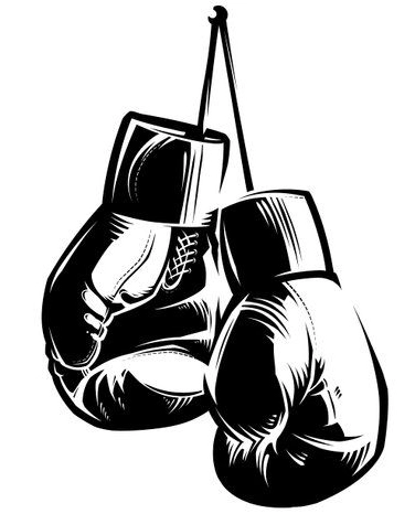 Boxing Gloves